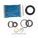 Kit rolamento roda traseira skf celta/prisma