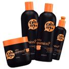 Kit Rolou Química Oh My Shampoo Cond Másc 500g +Finalizador