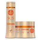 Kit S.O.S Verão 1 Shampoo 300ml 1 Máscara 300g Haskell