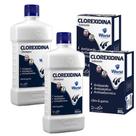 KIT SABONETE SHAMPOO CLOREXIDINA 500ml