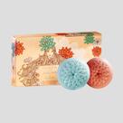 Kit Sabonetes Flor Ninfa das Águas L'occitane 2x100g