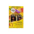 Kit Salon Line Shampoo Condicionador Óleo De Manga Kit Salon Line Shampoo Condicionador Óleo De Manga