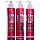 Kit Salva Fios Cabelo Emborrachado Elimina Ressecamento Combate a Quebra Reconstrução Nutrição Brilho Kit 300ml Lizz ante
