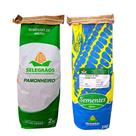 Kit Sementes Milho Pamonheiro 2kg Robusto 2kg Selegrãos Ideal Para Lavouras