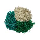 Kit Sempre Viva 3 Cores - Branca, Verde e Verde Turqueza Kit Sempre Viva 3 Cores - Branca, Verde e Verde Turqueza