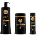 Kit Sh 1L Cond 300Ml Máscara 900Gr Haskell Cavalo Forte