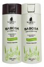 kit sh+cond babosa barro minas 300ml cada
