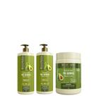 Kit Shamp, Cond, Banho de Creme Pós Química 1L - Bio Extratus