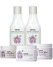 Kit Shamp, Cond, Leave in Creme Glacê ,Jelly Glace e Másc. Nutri-sake