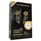 Kit Shampoo e Condicionador Haskell Cavalo Forte 500ml