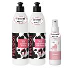 Kit Shampoo e Condicionador Melancia 500ml e Colônia Joy 150ml Perigot Pet Cães Gatos
