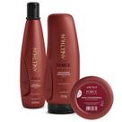 Kit Shampoo Finalizador e Dose Force System Aneethun Kit Shampoo Finalizador e Dose Force System Aneethun