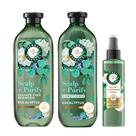 Kit Shampoo Herbal Essences Scalp Purify Eucalipto