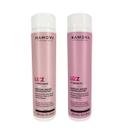 Kit Shampoo + Leave-in Controle do Frizz Lizz Hanova 300ml Kit Shampoo + Leave-in Controle do Frizz Lizz Hanova 300ml