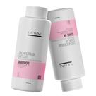 Kit Shampoo + Leave-In Cronograma Capilar Lamine 2X500Ml