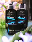 Kit shampoo, mascara e condicionador linha lisos maggioni