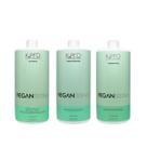 Kit Shampoo Moisturizer Condicionador Acidificante 1000ml Veganíssima Kpro