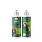Kit Shampoo Purificador + Cauterização Biovegetais 360ml