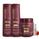 Kit Shitake 1 Shampoo 350ml 1 Condicionador 1 Máscara 250ml + Presente Lourre 15ml
