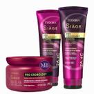 Kit Siàge Eudora Pro Cronology Curvas Definição Cronograma