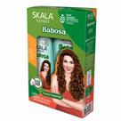 Kit skala sh + cond 325ml expert babosa Kit skala sh + cond 325ml expert babosa