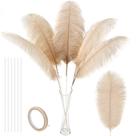 Kit Soarer Ostrich Feathers, champanhe, 86 cm, 10 unidades Kit Soarer Ostrich Feathers, champanhe, 86 cm, 10 unidades