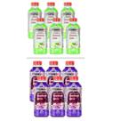 Kit Sorox Limão E Uva 12 Unidades (6 De Cada) 550ml