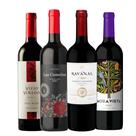 Kit Super Combo Tinto 4 Garrafas