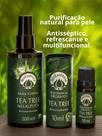 Kit Tea Tree BioEssência Água Floral + Óleo Essencial Orgânico Antisséptico Natural Acne Imunidade