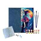 Kit Tela Pintura Numerada Sinoart 30X30cm Elefante