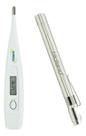 Kit Termometro Corporal + Lanterna Clinica Para Ver Garganta Cor:Prata