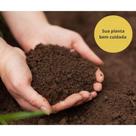 Kit Terra Adubada 6kg + Húmus de Minhoca 1kg - Plantas - Horta - Vasos - Composto - Substrato