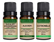 Kit Top 3 Óleos Essenciais Para Purificar Ambiente 10ml