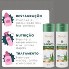 Kit Tratamento Babosa Hidratação Capilar 2 Passos Therapy