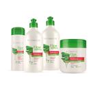 Kit Tratamento Capilar Babosa Aloe Vera Facinatus