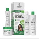 Kit Tratamento Capilar Mamona e Babosa c/4 Itens - BioInstinto