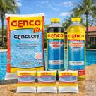 Kit Tratamento de Choque Elimina e Decanta Algas Piscina