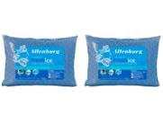 Kit Travesseiro Altenburg de Cabeça Fresh Ice