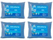 Kit Travesseiro Altenburg de Cabeça Fresh Ice