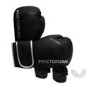 Kit Unissex Pretorian Boxe Muay Thai FX-2 Preto/Prata