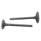 Kit Válvula Admissão Escape Motor Diesel Buffalo BFD 12hp 13hp