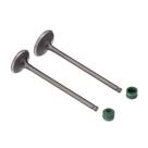 Kit Valvula E Retentor Ww3 Cg 125 2002/2008 Kit Valvula E Retentor Ww3 Cg 125 2002/2008