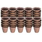 KIT Vasos Biodegradáveis Médio (50 unidades) NAGMOBIO