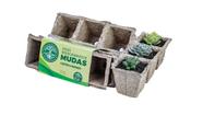 KIT Vasos Biodegradáveis Quadrado (6 unidades) NAGMOBIO KIT Vasos Biodegradáveis Quadrado (6 unidades) NAGMOBIO