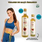 Kit Vinagre de Maçã Orgânico Fazenda São Roque 500ml e 250ml Natural Kit Vinagre de Maçã Orgânico Fazenda São Roque 500ml e 250ml Natural