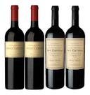 Kit Vinho Angélica Cabernet Sauvignon e DV Malbec