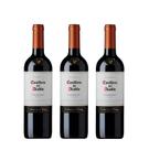 Kit Vinho Casillero Del Diablo Carmenere Reserva 750ml 3uni