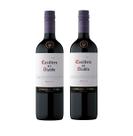 Kit Vinho Casillero Del Diablo Merlot Tinto Seco 750ml 2uni