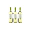 Kit Vinho Chilano Sauvignon Blanc Branco Seco 750ml 3uni