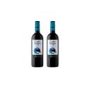 Kit Vinho Gato Negro Merlot Tinto Meio Seco Chileno 750ml 2u
